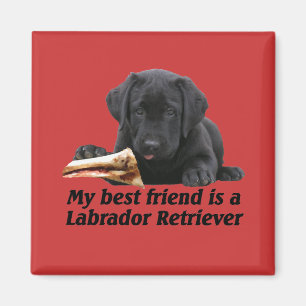 Aimant "labrador retriever "