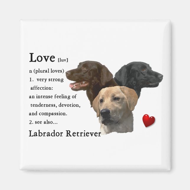 Aimant Labrador Retriever Art Don (Devant)