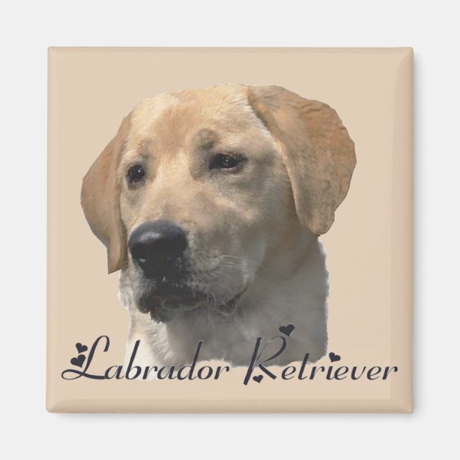 Aimant Labrador Retriever Cadeaux Yellow Lab Art (Devant)