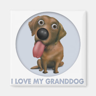 Aimant Labrador retriever (chocolat) Granddog