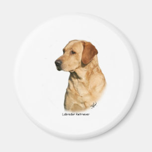 Aimant Labrador retriever jaune