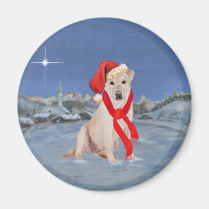 Aimant Labrador Retriever jaune par une nuit hivernale