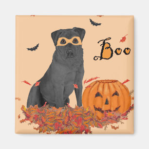 Aimant Labrador Retriever Noir Boo!