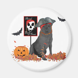 Aimant Labrador Retriever noir pirate