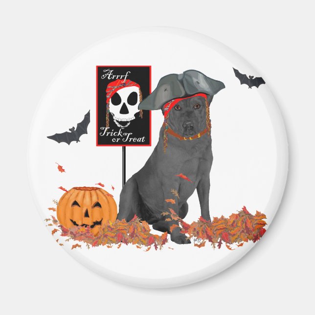 Aimant Labrador Retriever noir pirate (Devant)