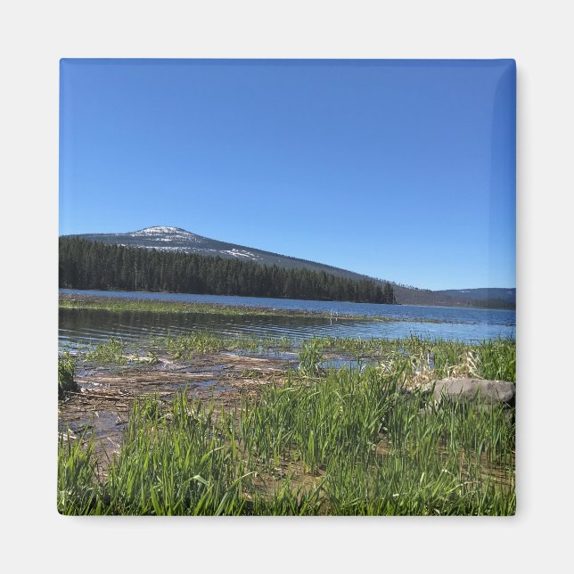 Aimant Lac Davis, OR (Devant)