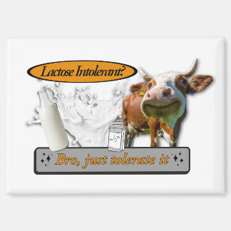 Aimant Lactose Intolerant? Just Tolerate It