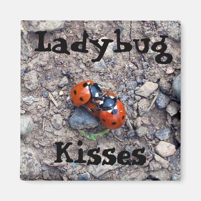 Aimant Ladybug Kisses (Devant)