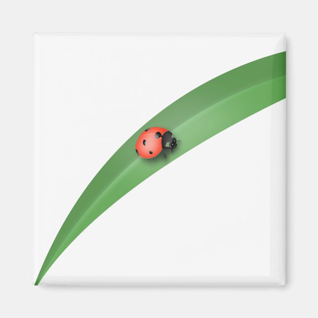 Aimant Ladybug Leaf (Devant)