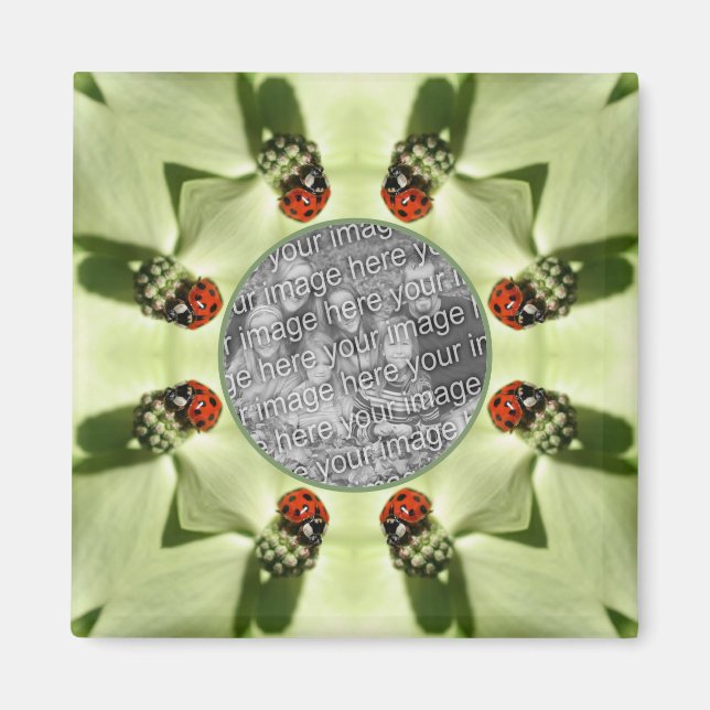 Aimant Ladybug Sur Dogwood Nature Ajouter Votre Photo (Devant)