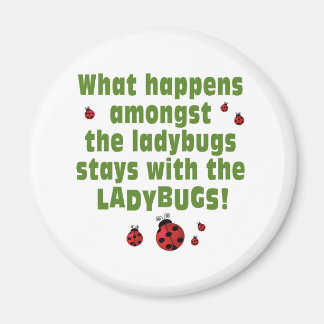 Aimant Ladybugs