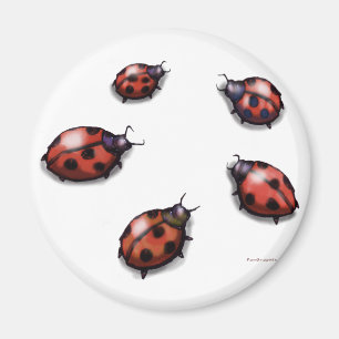 Aimant Ladybugs