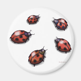 Aimant Ladybugs