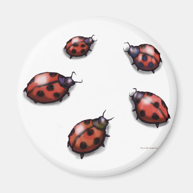 Aimant Ladybugs (Devant)
