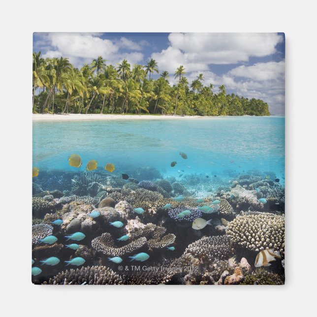 Aimant Lagon tropical dans l'atoll d'Ari Sud (Devant)