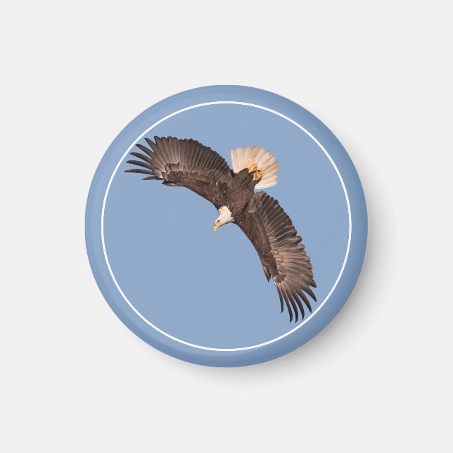 Aimant L'Aigle Puissant (Devant)