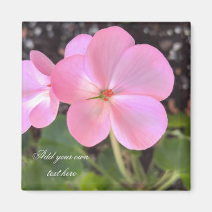 Aimant L'aimant de fleur de géranium ajoutent le texte