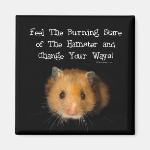 Aimant L'aimant de hamster