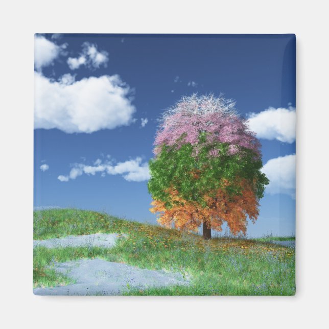 Aimant L'aimant de l'arbre de saison (Devant)