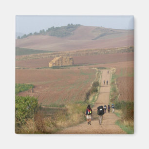 Aimant L'aimant de Meseta