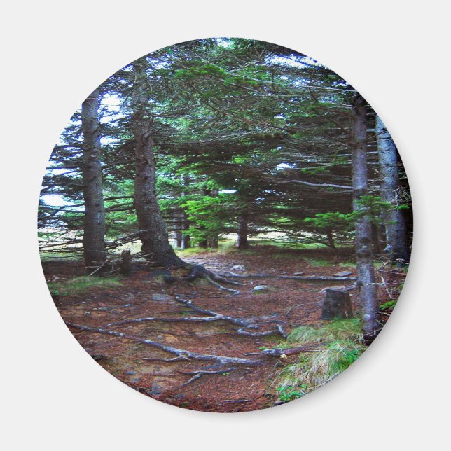 Aimant L'aimant des escaliers de la nature (Devant)