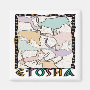 Aimant L'aimant d'Etosha