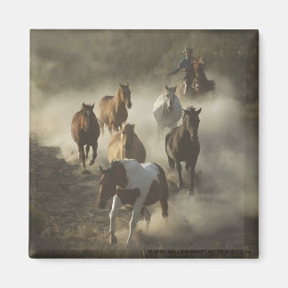 Aimant L'aimant du lecteur