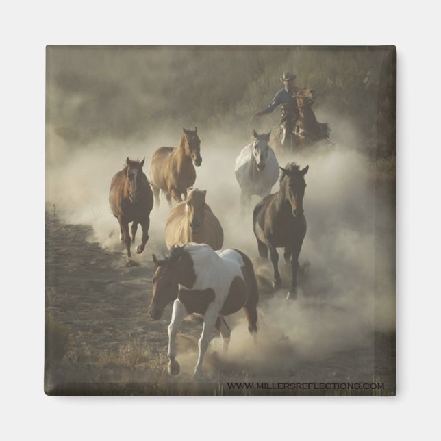 Aimant L'aimant du lecteur (Devant)