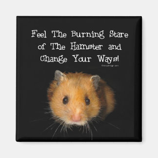 Aimant L'aimant Hamster