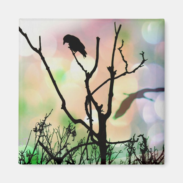 Aimant L'aimant Lonely Crow (Devant)