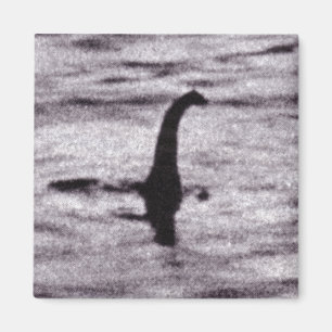 Aimant L'aimant photo du chirurgien