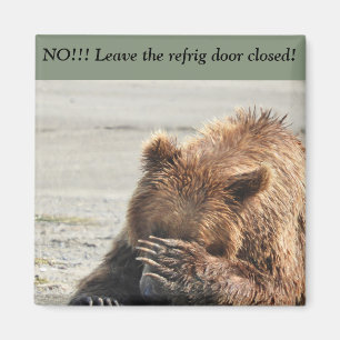Aimant Laisser l'aimant fermé de la porte de réfrigéra