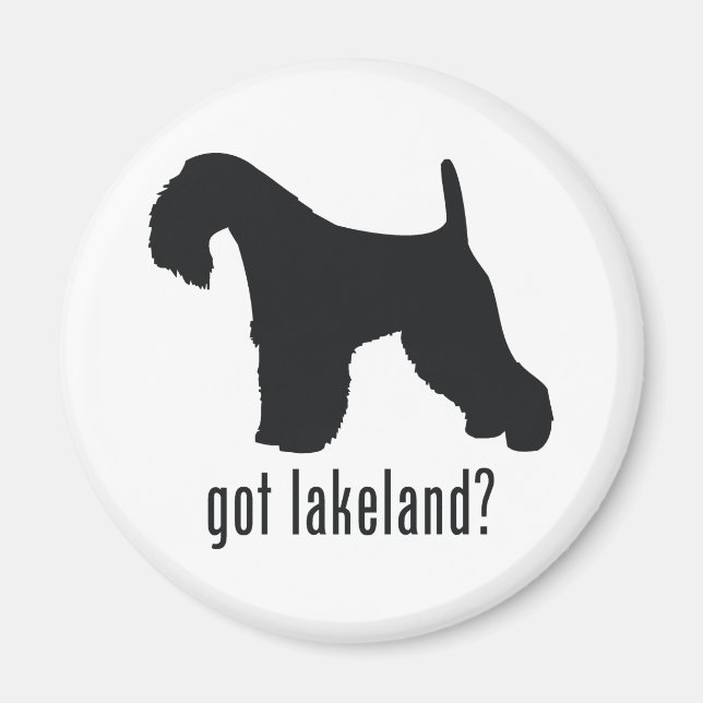 Aimant Lakeland Terrier (Devant)