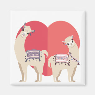 Aimant Lama et alpaga avec amour