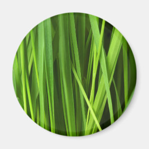 Aimant Lames d'herbe