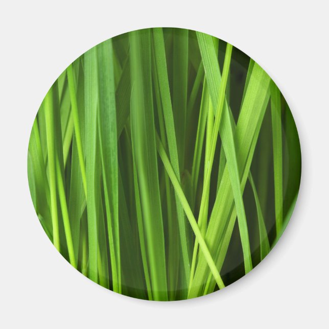 Aimant Lames d'herbe (Devant)