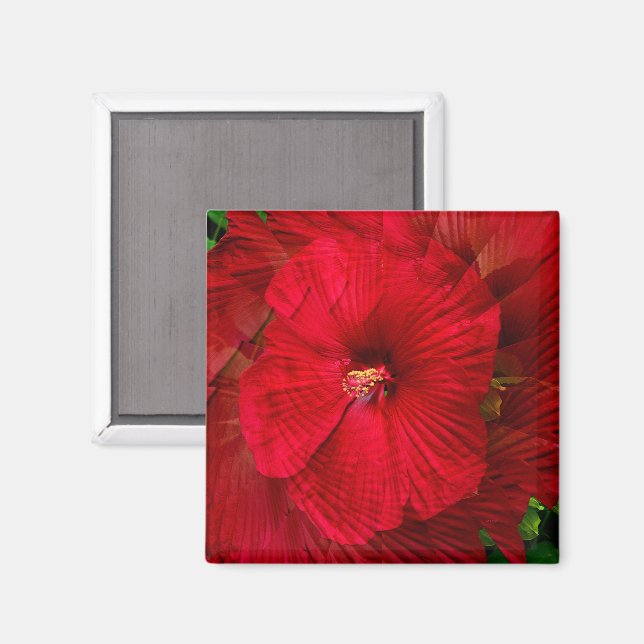 Aimant L'amour de l'Hibiscus... (Recto/Verso)