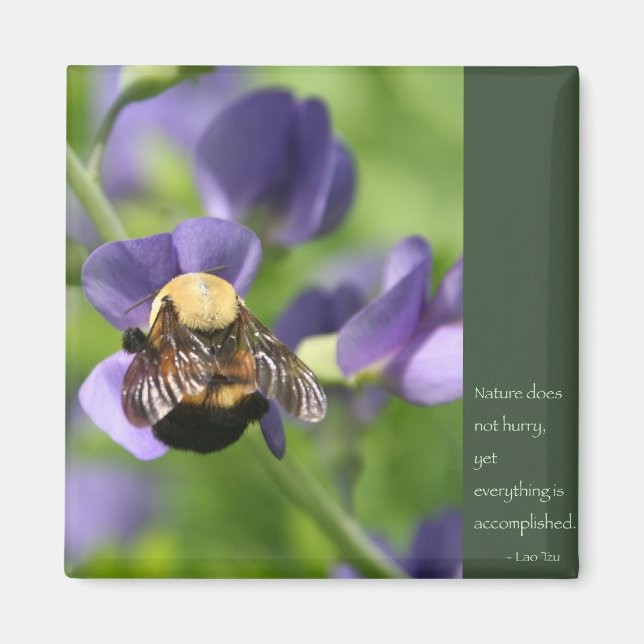 Aimant Lao Tzu Mots de sagesse (Devant)