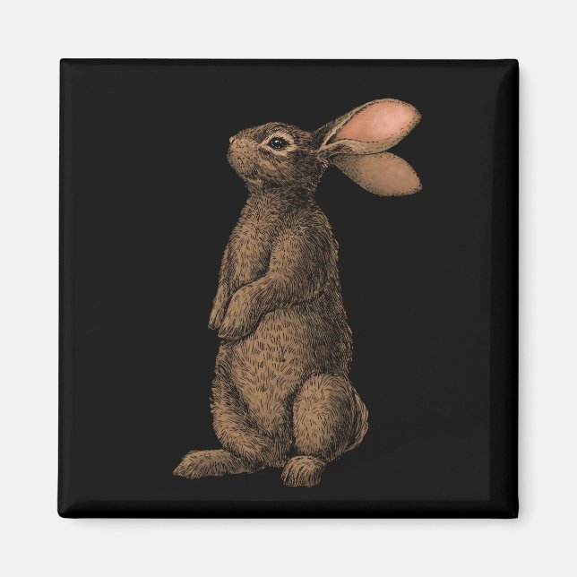 Aimant Lapin (Devant)