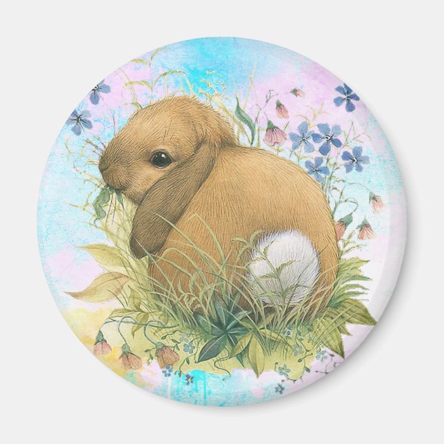 Aimant Lapin (Devant)
