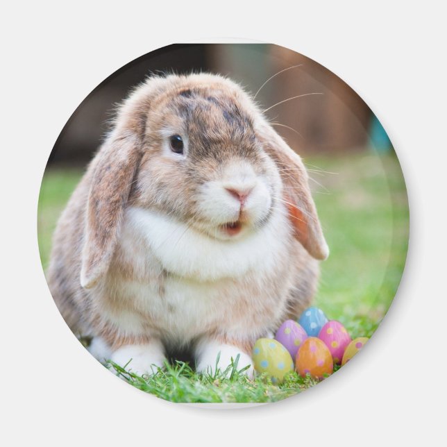 Aimant Lapin de Pâques (Devant)