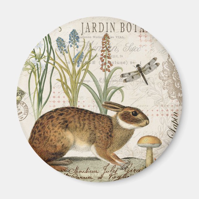 Aimant lapin français vintage moderne dans le jardin (Devant)