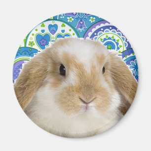 Aimant Lapin génial