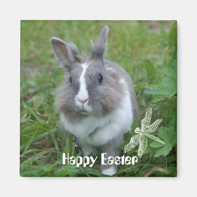 Aimant Lapin lapin (Devant)