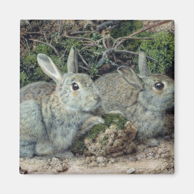 Aimant Lapins (Devant)