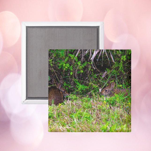 Aimant Lapins Brown dans l'herbe Floride (A magnet with a photograph of two adorable brown rabbits)