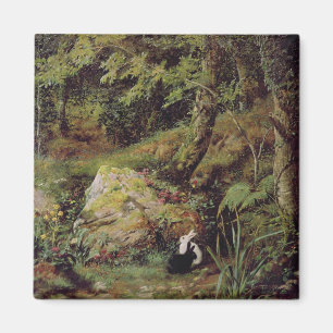 Aimant Lapins égarés