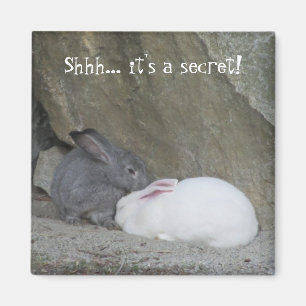 Aimant Lapins mignons avec citation