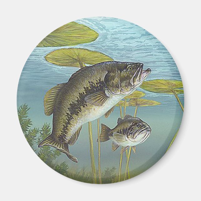Aimant Largemouth Bass (Devant)