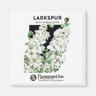 Aimant Larkspur, Giant Imperial White, F. Lagomarsino & S